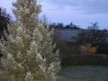 k-IMG_0007