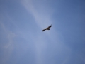 k-DSC_0397