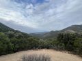 k-IMG_1384