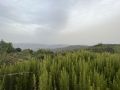 k-IMG_1661
