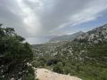 k-IMG_1662